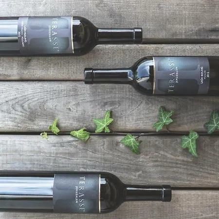 شقة Terasse Jeruzalem Hermanci