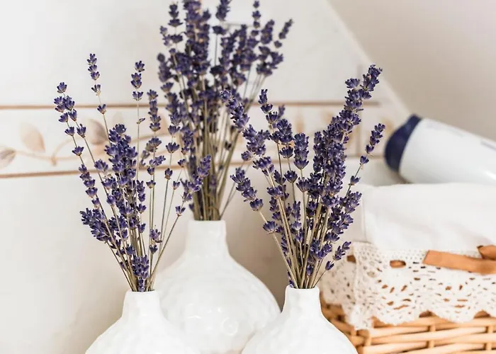 Terasse Jeruzalem * Hermanci