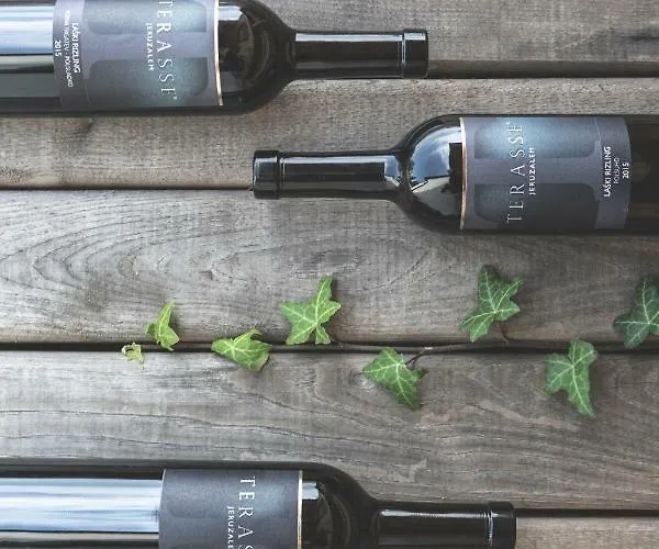 דירה Terasse Jeruzalem Hermanci